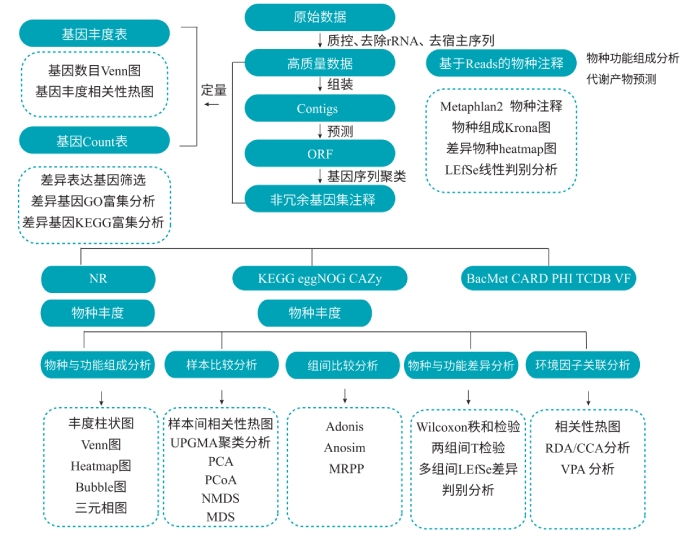 宏轉(zhuǎn)錄組測序分析流程