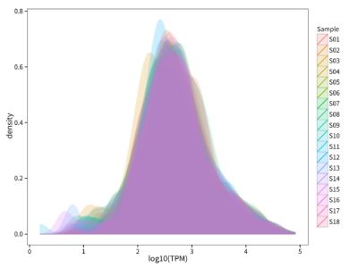 基因表達(dá)水平分析 基因表達(dá)水平分析