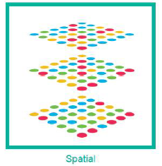 空間轉(zhuǎn)錄組