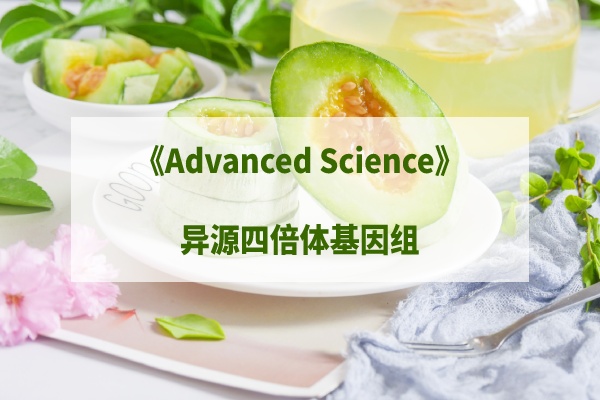 甜瓜四倍體基因組