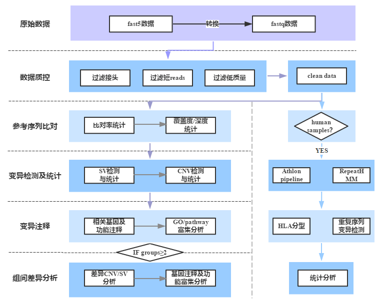 Nanopore全基因組重測(cè)序生物信息分析流程圖
