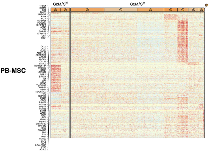 圖5從3個供體匹配組織來源分離的馬間充質(zhì)基質(zhì)細胞（MSCs）表現(xiàn)出源內(nèi)轉(zhuǎn)錄異質(zhì)性