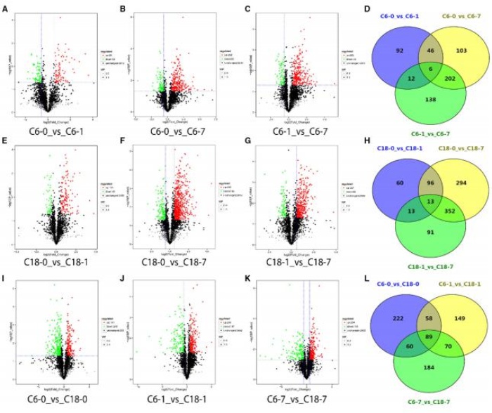 差異累積代謝物的火山圖，以及對(duì)照與其時(shí)間點(diǎn)的比較