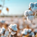 陸地棉進(jìn)化軌跡與重要性狀遺傳架構(gòu)被破解！《Nature Genetics》