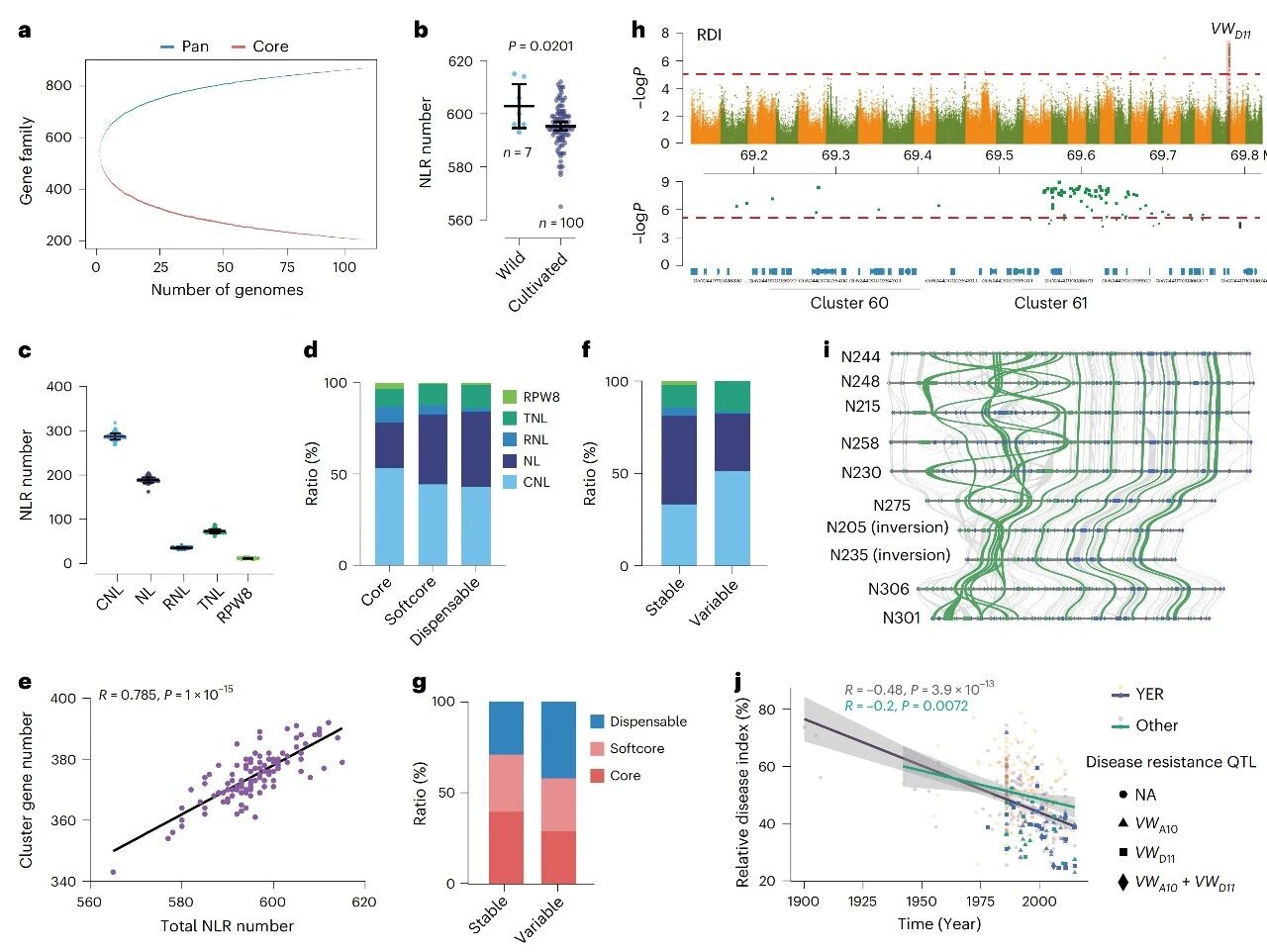 圖5 陸地棉泛NLR分析