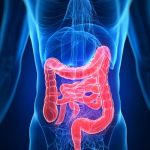 利用殼寡糖調(diào)節(jié)腸道菌群改善IgA腎病領(lǐng)域取得重要科研進(jìn)展《Gut Microbes》