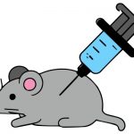 哥本哈根大學(xué)揭示膳食纖維其在特定病原體感染背景下的復(fù)雜性《Microbiome》